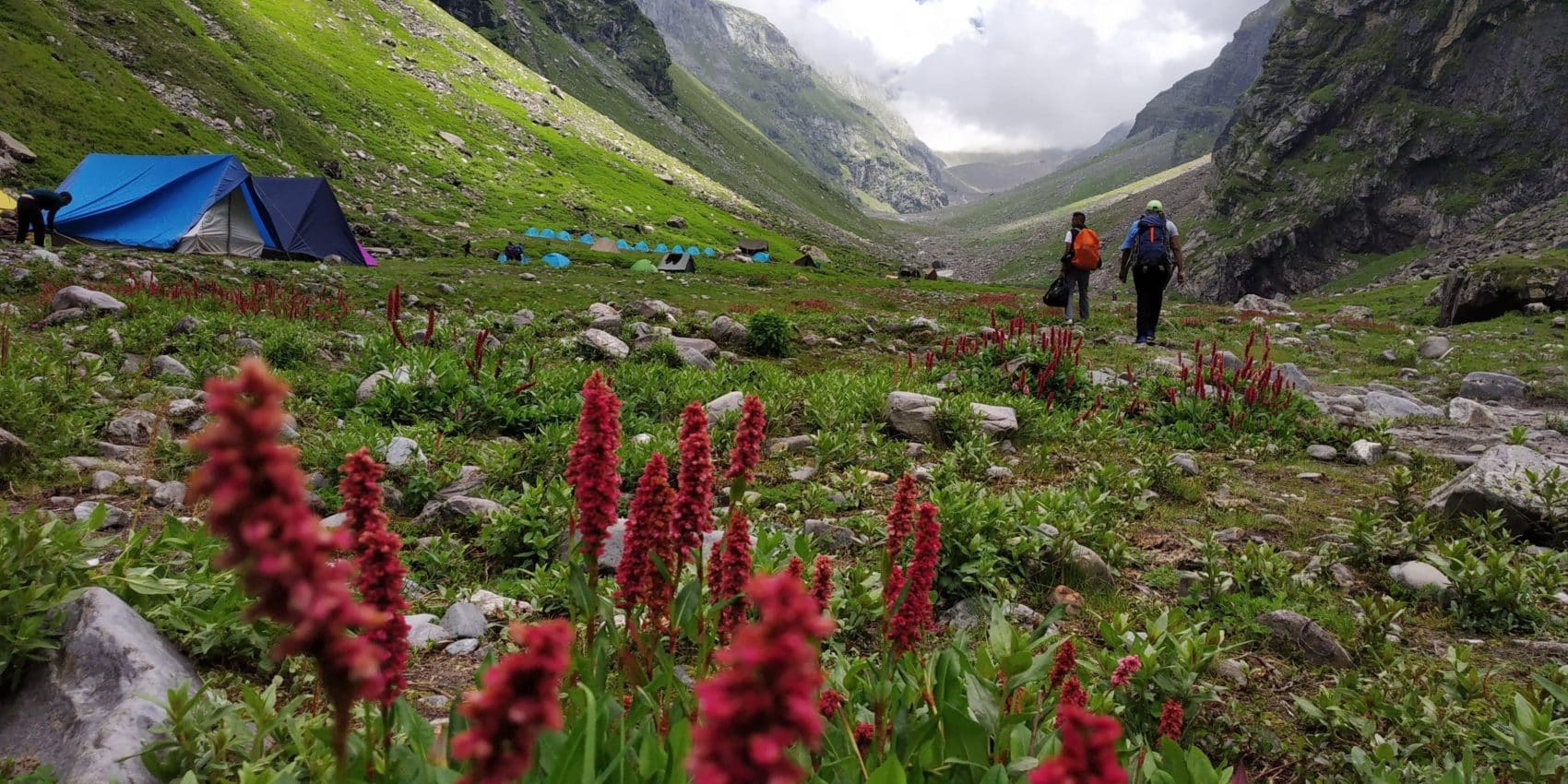 Easy Treks in Himachal for Beginners